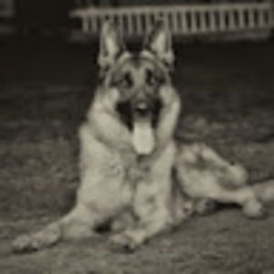 Meet your Posher, Meredith